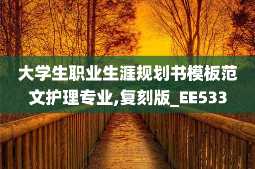 大学生职业生涯规划书模板范文护理专业,复刻版_EE533