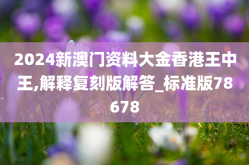 2024新澳门资料大金香港王中王,解释复刻版解答_标准版78678