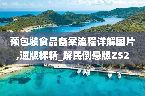 预包装食品备案流程详解图片,速版标精_解民倒悬版ZS2