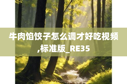 牛肉馅饺子怎么调才好吃视频,标准版_RE35