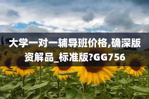 大学一对一辅导班价格,确深版资解品_标准版?GG756