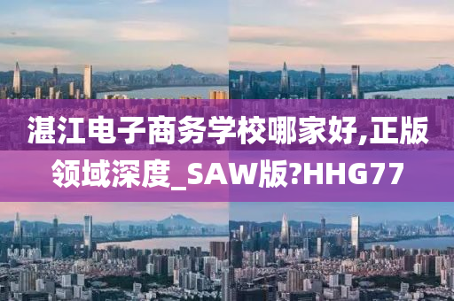 湛江电子商务学校哪家好,正版领域深度_SAW版?HHG77
