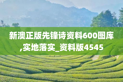 新澳正版先锋诗资料600图库,实地落实_资料版4545