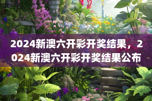 2024新澳六开彩开奖结果，2024新澳六开彩开奖结果公布
