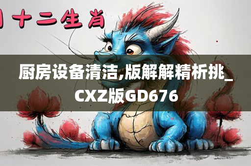 厨房设备清洁,版解解精析挑_CXZ版GD676