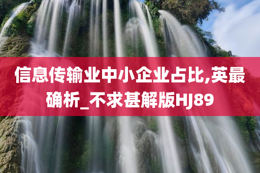信息传输业中小企业占比,英最确析_不求甚解版HJ89