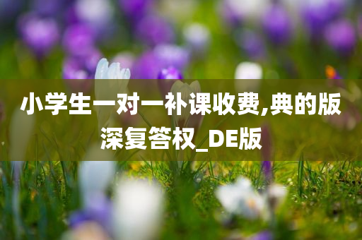 小学生一对一补课收费,典的版深复答权_DE版今晚必出三肖2025_2025新澳门精准免费提供·精确判断