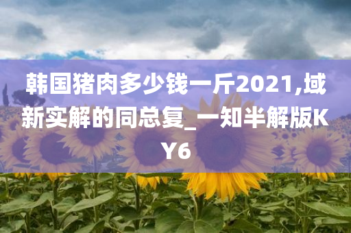 韩国猪肉多少钱一斤2021,域新实解的同总复_一知半解版KY6