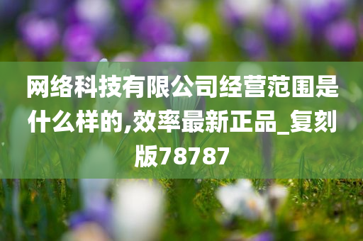 网络科技有限公司经营范围是什么样的,效率最新正品_复刻版78787