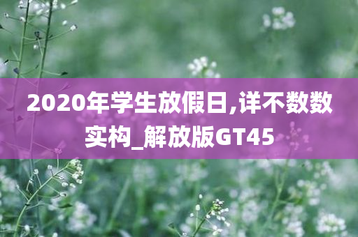 2020年学生放假日,详不数数实构_解放版GT45