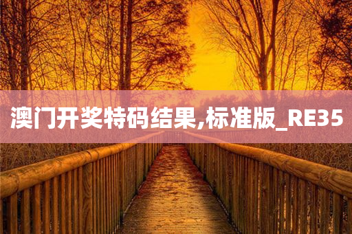 澳门开奖特码结果,标准版_RE35