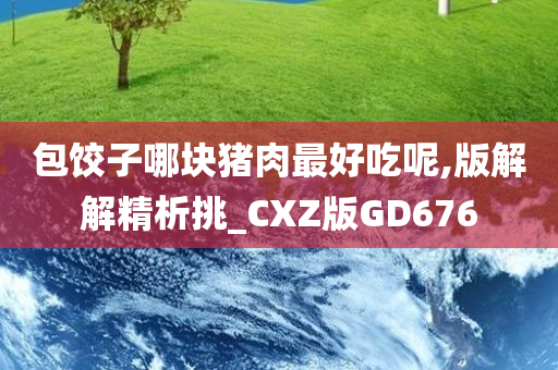 包饺子哪块猪肉最好吃呢,版解解精析挑_CXZ版GD676