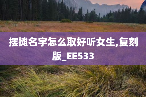 摆摊名字怎么取好听女生,复刻版_EE533