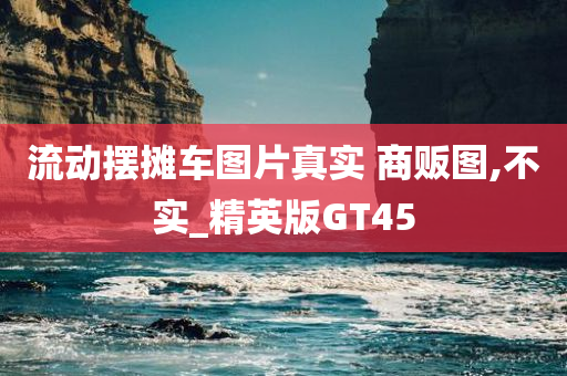 流动摆摊车图片真实 商贩图,不实_精英版GT45