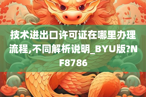 技术进出口许可证在哪里办理流程,不同解析说明_BYU版?NF8786