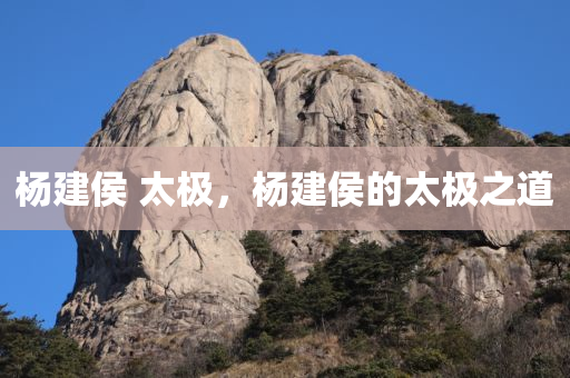 杨建侯 太极，杨建侯的太极之道