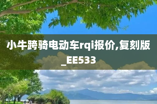 小牛跨骑电动车rqi报价,复刻版_EE533