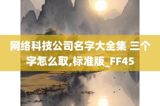 网络科技公司名字大全集 三个字怎么取,标准版_FF45