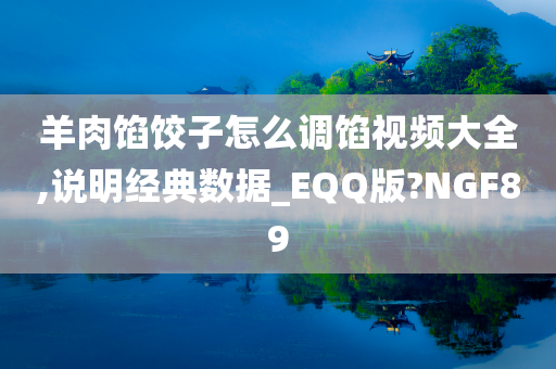 羊肉馅饺子怎么调馅视频大全,说明经典数据_EQQ版?NGF89
