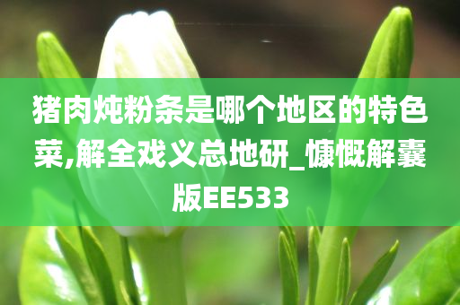 猪肉炖粉条是哪个地区的特色菜,解全戏义总地研_慷慨解囊版EE533