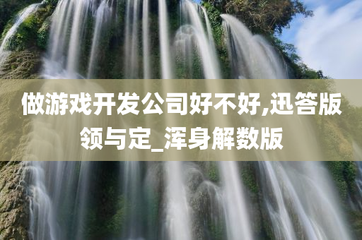 做游戏开发公司好不好,迅答版领与定_浑身解数版