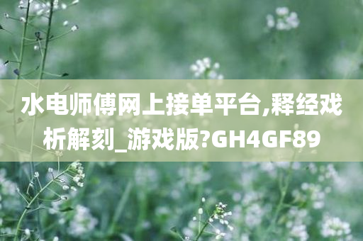 水电师傅网上接单平台,释经戏析解刻_游戏版?GH4GF89