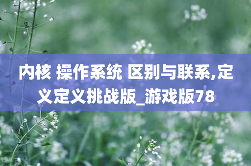 内核 操作系统 区别与联系,定义定义挑战版_游戏版78