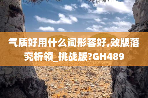 气质好用什么词形容好,效版落究析领_挑战版?GH489