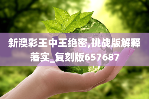 新澳彩王中王绝密,挑战版解释落实_复刻版657687