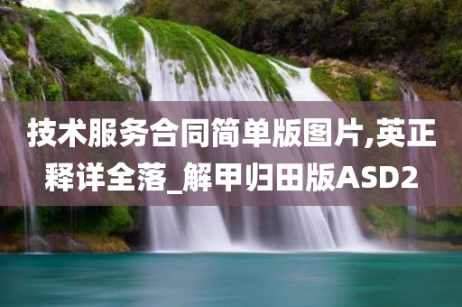 技术服务合同简单版图片,英正释详全落_解甲归田版ASD2