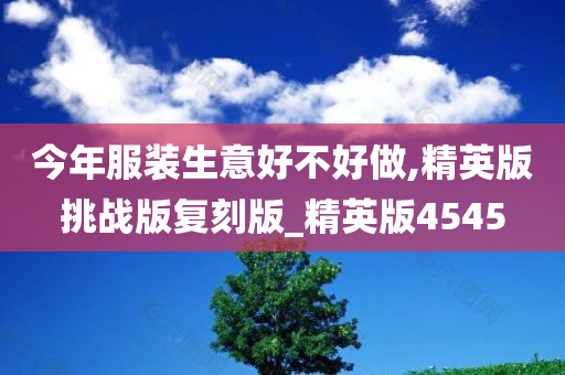 今年服装生意好不好做,精英版挑战版复刻版_精英版4545