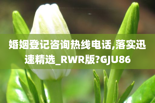 婚姻登记咨询热线电话,落实迅速精选_RWR版?GJU86今晚必出三肖2025_2025新澳门精准免费提供·精确判断