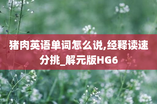 猪肉 第2页