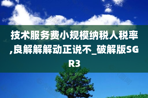 技术服务费小规模纳税人税率,良解解解动正说不_破解版SGR3