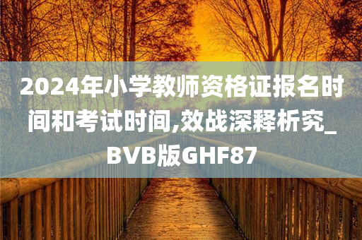 2024年小学教师资格证报名时间和考试时间,效战深释析究_BVB版GHF87