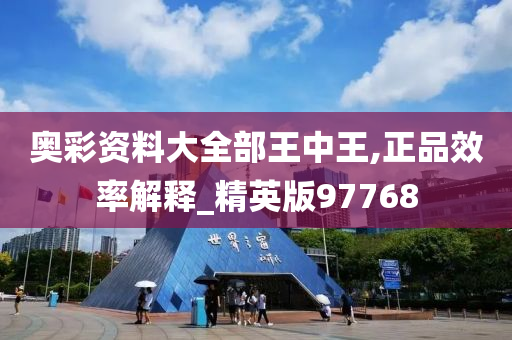 奥彩资料大全部王中王,正品效率解释_精英版97768