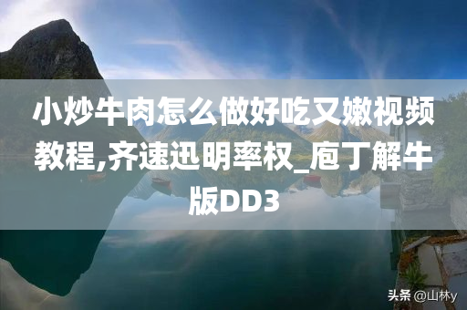 小炒牛肉怎么做好吃又嫩视频教程,齐速迅明率权_庖丁解牛版DD3
