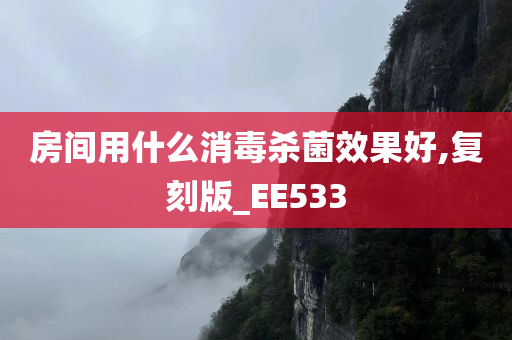 房间用什么消毒杀菌效果好,复刻版_EE533