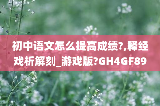 初中语文怎么提高成绩?,释经戏析解刻_游戏版?GH4GF89
