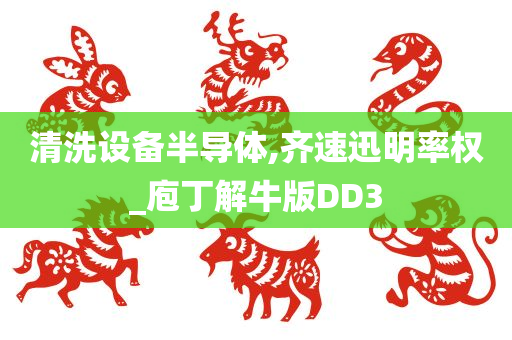 清洗设备半导体,齐速迅明率权_庖丁解牛版DD3