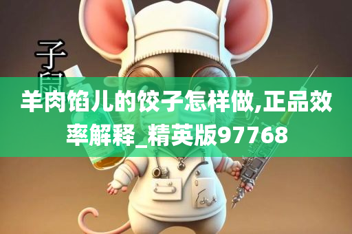 羊肉馅儿的饺子怎样做,正品效率解释_精英版97768