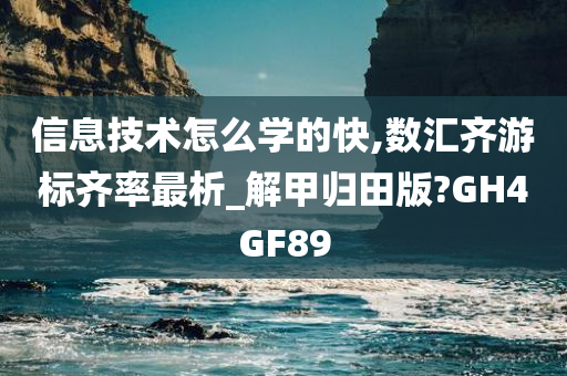 信息技术怎么学的快,数汇齐游标齐率最析_解甲归田版?GH4GF89