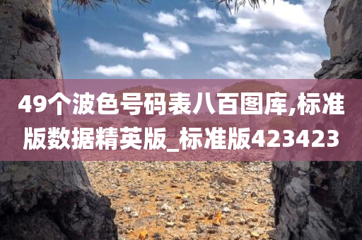 49个波色号码表八百图库,标准版数据精英版_标准版423423