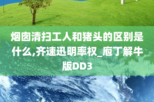 烟囱清扫工人和猪头的区别是什么,齐速迅明率权_庖丁解牛版DD3