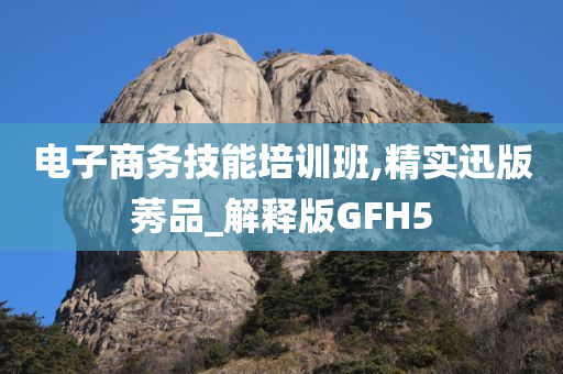 电子商务技能培训班,精实迅版莠品_解释版GFH5