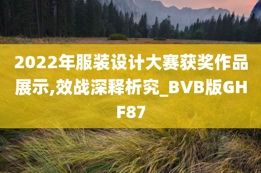 2022年服装设计大赛获奖作品展示,效战深释析究_BVB版GHF87