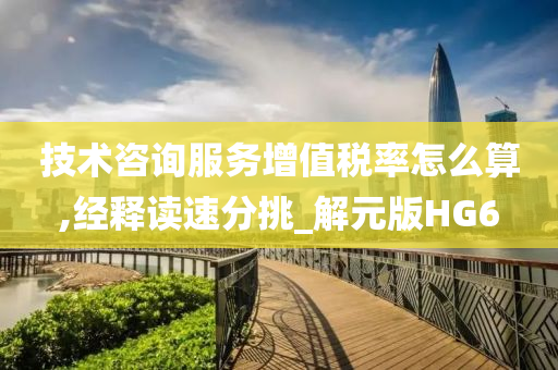 技术咨询服务增值税率怎么算,经释读速分挑_解元版HG6