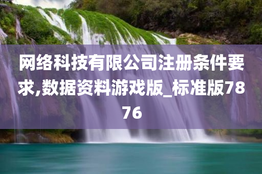网络科技有限公司注册条件要求,数据资料游戏版_标准版7876