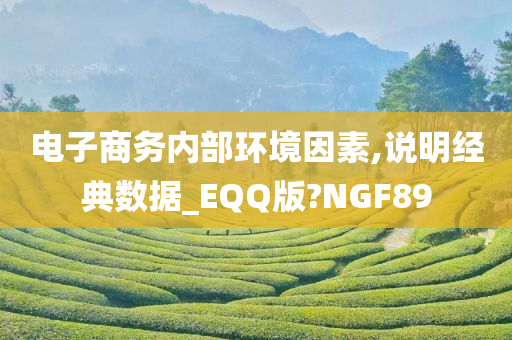 电子商务内部环境因素,说明经典数据_EQQ版?NGF89