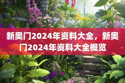 新奥门2024年资料大全，新奥门2024年资料大全概览